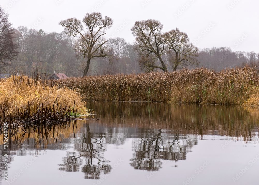autumn landscape gray and cloudy day, river bank with bare trees and bushes, bank reflection in river water autumn landscape gray and cloudy day, river bank with bare trees and bushes, bank reflection in river water