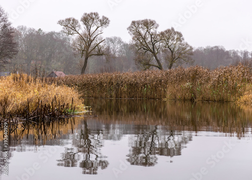 autumn landscape gray and cloudy day, river bank with bare trees and bushes, bank reflection in river water