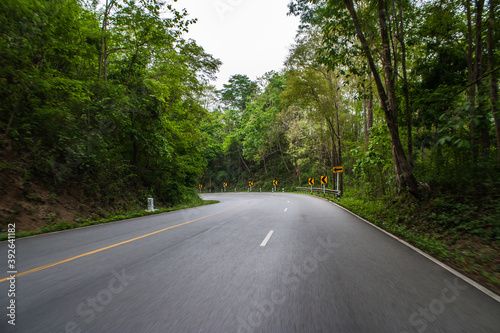 The road in the mountains through the forest on two sides