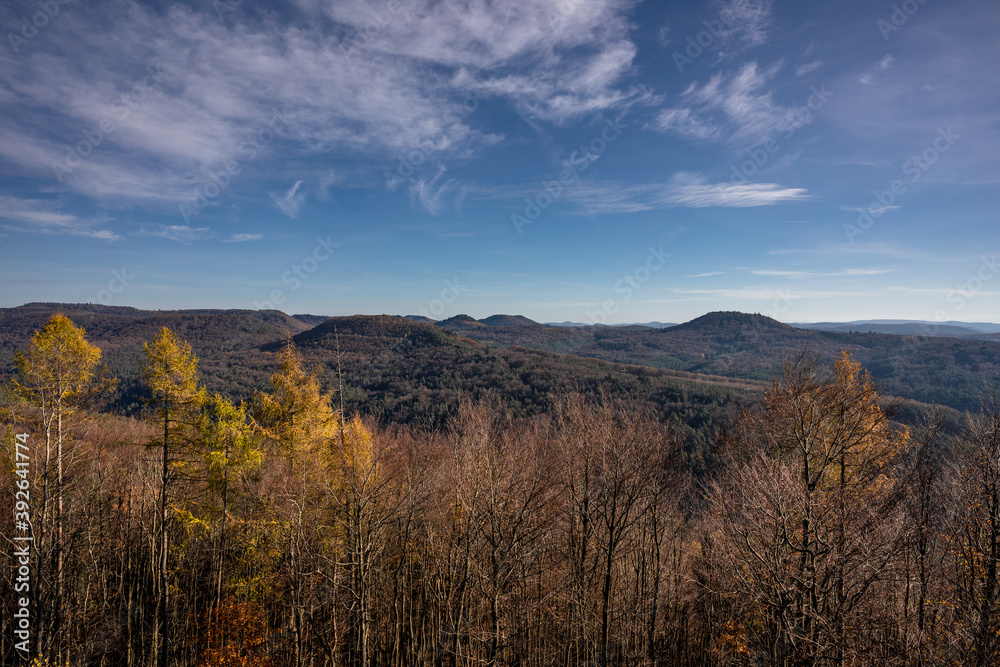 Pfälzerwald