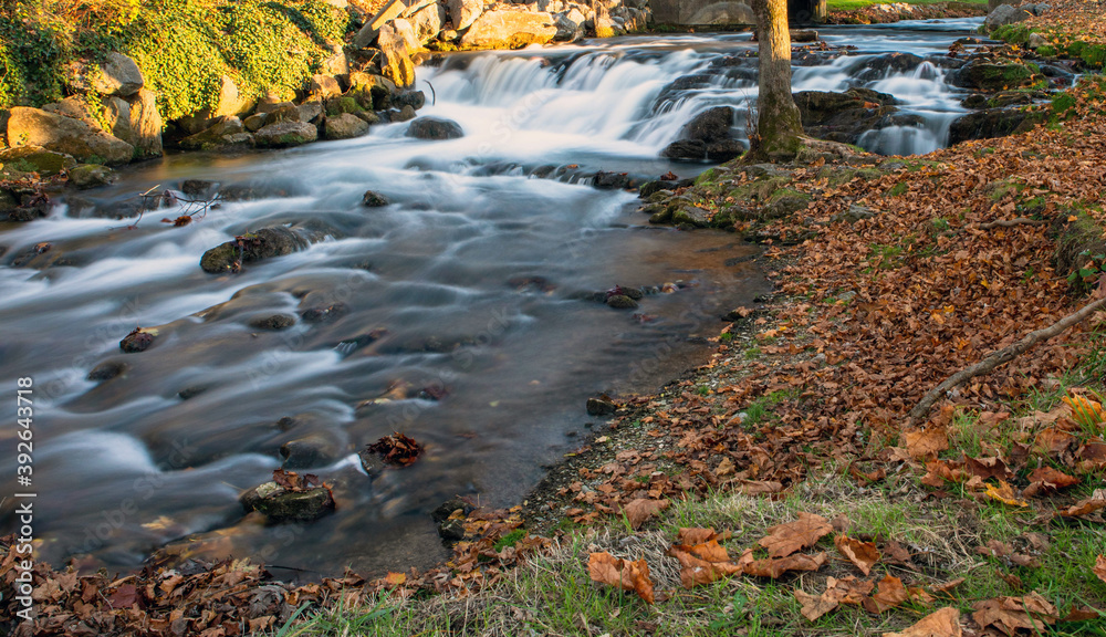 Fall Long Exposure Fall Long Exposure