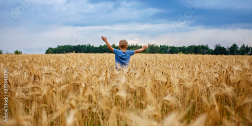 Photography Boy running in wheat field, live life to the fullest, freedom, childhood and hap