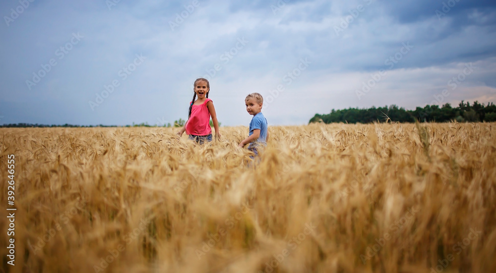 Kids running in wheat field, live life to the fullest, freedom, childhood and happiness Kids running in wheat field, live life to the fullest, freedom, childhood and happiness