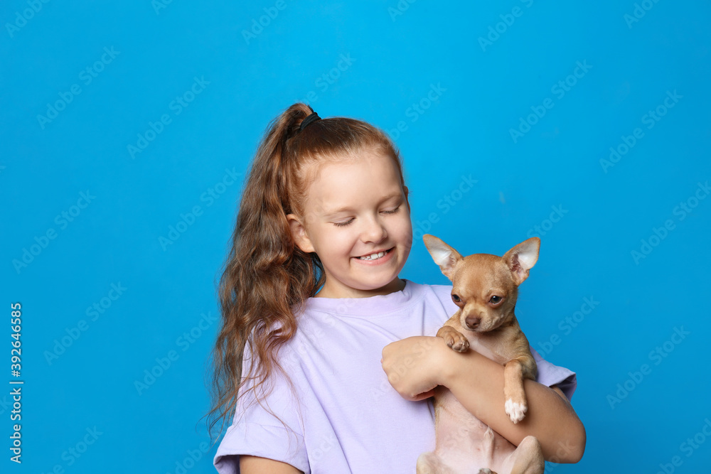 Obraz premium Little girl with her Chihuahua dog on light blue background. Childhood pet
