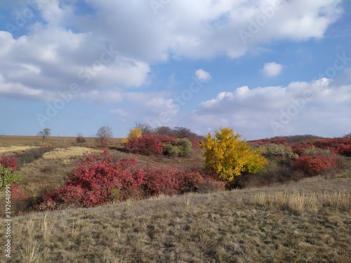 autumn in the mountains
