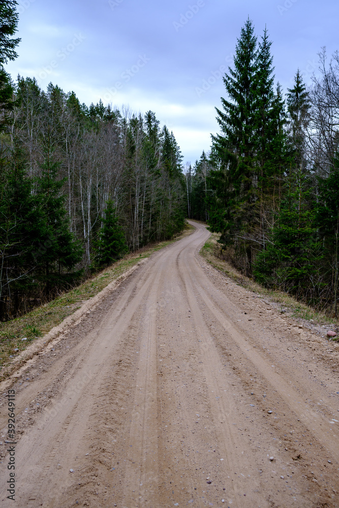 countryside dirt road gravel in perspective in summer