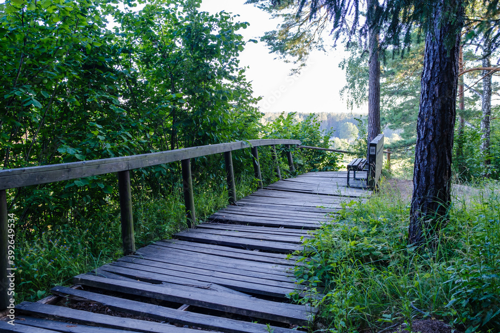 wooden boardwalk trail in green forest wooden boardwalk trail in green forest