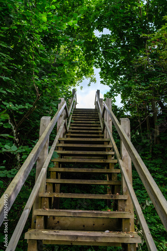 Fototapeta Naklejka Na Ścianę i Meble -  wooden boardwalk trail in green forest