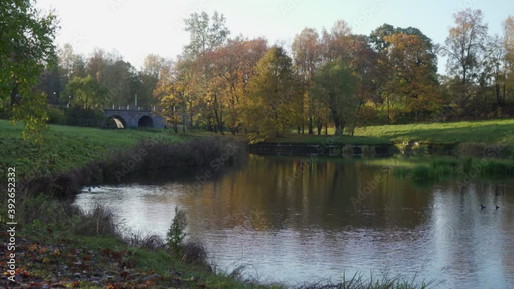 Slavyanka River in Pavlovsk Park in autumn, St. Petersburg, Russia. High quality 4k footage Slavyanka River in Pavlovsk Park in autumn, St. Petersburg, Russia. High quality 4k footage