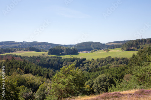 View of villages and heather, woods and grass landscapes in the surroundings of Arft, a municipality in district of Mayen-Koblenz in Rhineland-Palatinate, Germany.