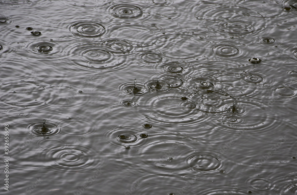 Texture of falling raindrops into the lake. Texture of falling raindrops into the lake.