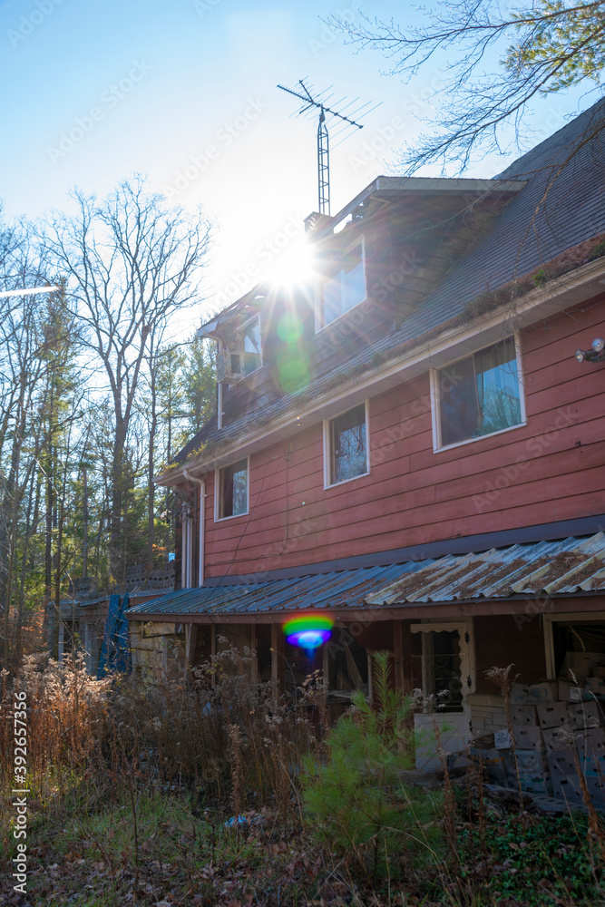 An old building, part of the Sun Valley Gardens nudist compound, sits abandoned in a forest in Pelham, Ontario, being overtaken by the surrounding nature.