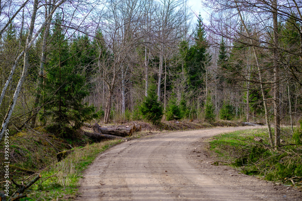 countryside dirt road gravel in perspective in summer countryside dirt road gravel in perspective in summer