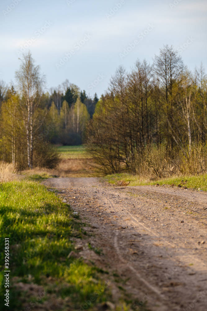 countryside dirt road gravel in perspective in summer countryside dirt road gravel in perspective in summer