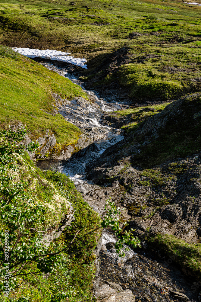 River in a green valley River in a green valley