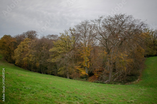 autumn landscape on a cloudy day