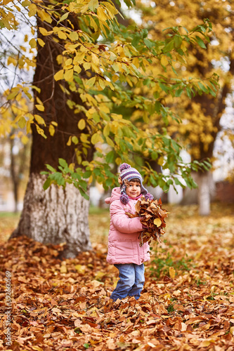 a little girl of 4 years old holds yellow leaves in her hands. Girl stands in the park in autumn with autumn leaves