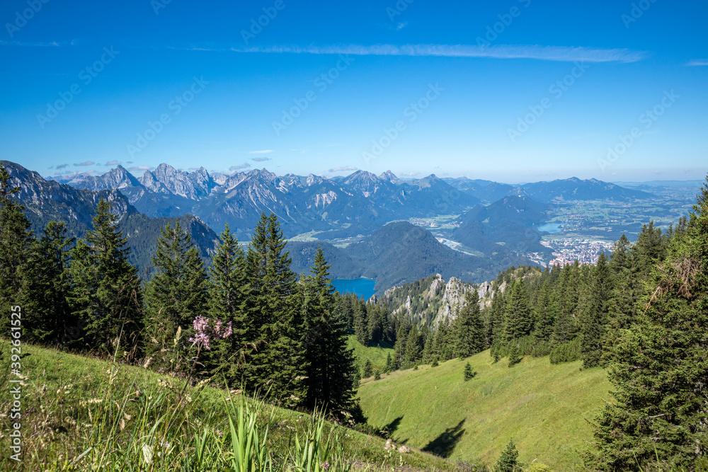 In den Ammergauer Alpen