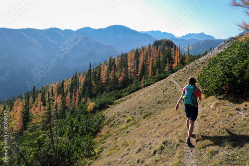 A woman with big backpack hiking through the colorful forest in Hochschwab region in Austrian Alps. The trees are turning golden. Endless mountain chains. Idyllic landscape. Freedom and wilderness