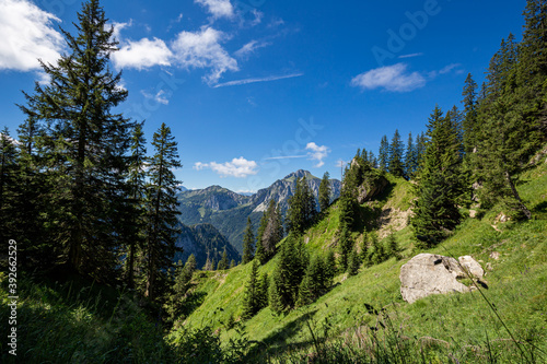 In den Ammergauer Alpen
