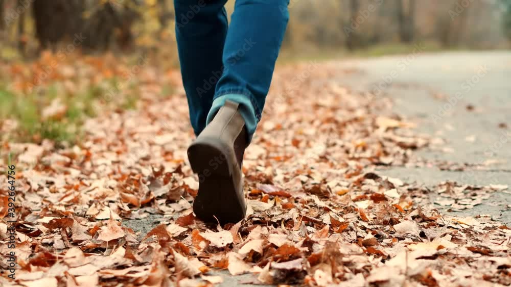Confidence Man Feet Walking On Road.Lonely Handsome Guy Rest On Holiday.Man Legs In Chelsea Boot Walking On Park.Businessman Legs On Sneakers Relaxing At Fall.Male In Leather Shoes Walk Autumn Road. Confidence Man Feet Walking On Road.Lonely Handsome Guy Rest On Holiday.Man Legs In Chelsea Boot Walking On Park.Businessman Legs On Sneakers Relaxing At Fall.Male In Leather Shoes Walk Autumn Road.