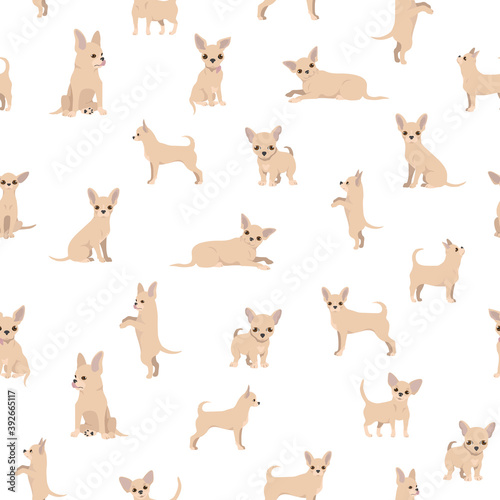 Chihuahua seamless pattern. Dog healthy silhouette and different poses background