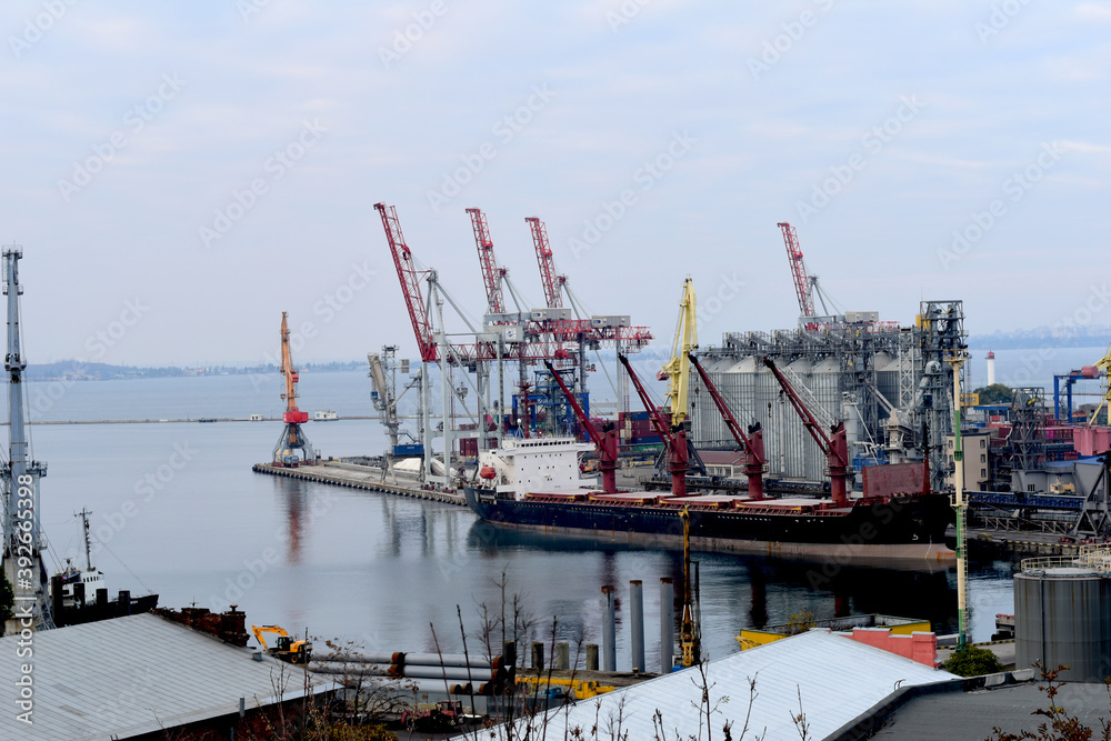 Several large port jib cranes are operating in the port.