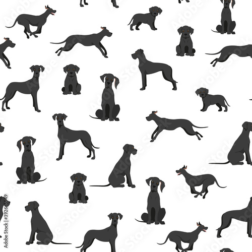 Great dane seamless pattern. Different variaties of coat color dog set