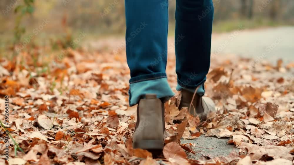 Stylish Man Legs In Leather Shoes Walking On Vacation Holiday In Cold Autumn Day.Man Legs Walking On Fallen Leaves.Male Feet Wearing Jeans And Shoes Walking On Fallen Leaves.Fall November Park. Stylish Man Legs In Leather Shoes Walking On Vacation Holiday In Cold Autumn Day.Man Legs Walking On Fallen Leaves.Male Feet Wearing Jeans And Shoes Walking On Fallen Leaves.Fall November Park.