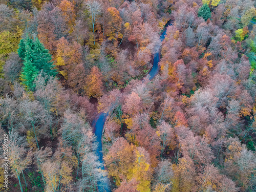 Autumn colors on on trees in the alps viewed from the top