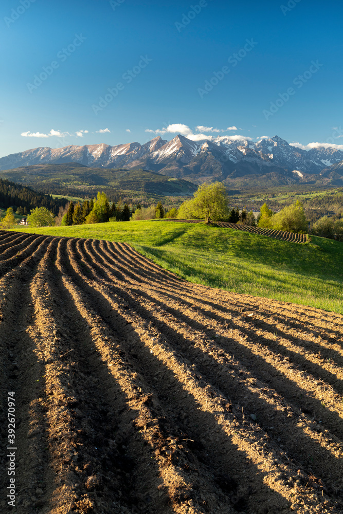Beautiful spring morning over Tatra mountains in Poland