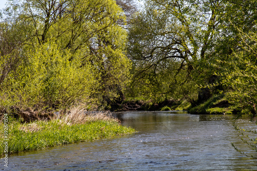 Frühjahr an der Waldnaab bei Oberwildenau