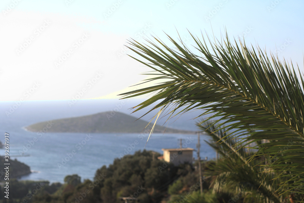 view of the island through the palm tree