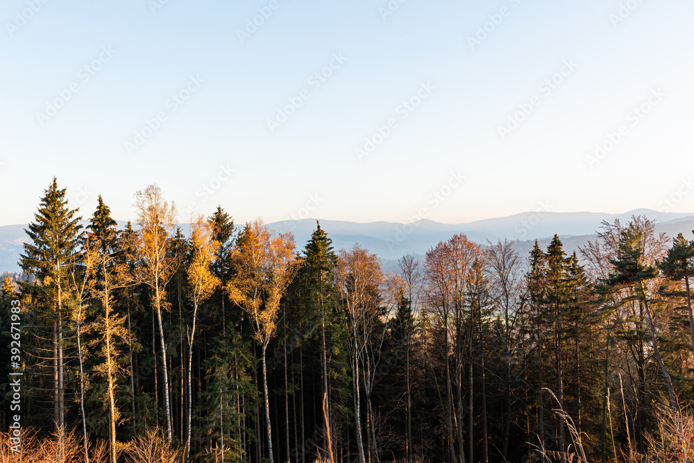 Sun setting behind spruce trees on a lush green slope. Tents and smoke in the distance. Several clouds in the orange sky at sunset. Warm summer evening.