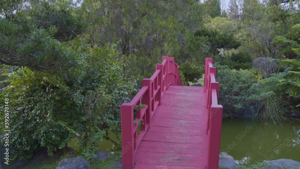 First-person perspective walk toward red bridge in Japanese garden, Santo Domingo First-person perspective walk toward red bridge in Japanese garden, Santo Domingo