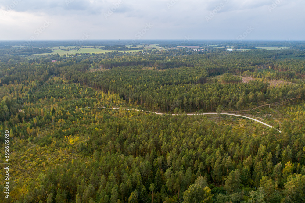 Aerial view of river among the forest. Summer nature landscape. Sunset.