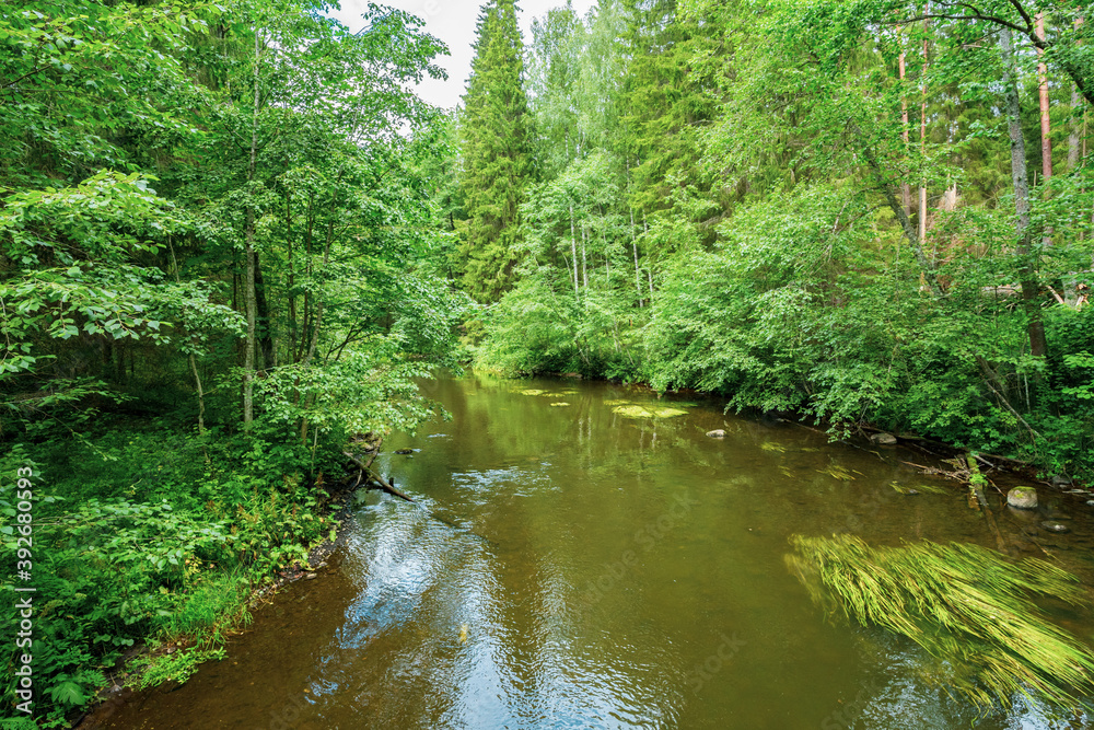 Outcrops of Devonian sandstone on the banks of Ahja river, Estonia. 