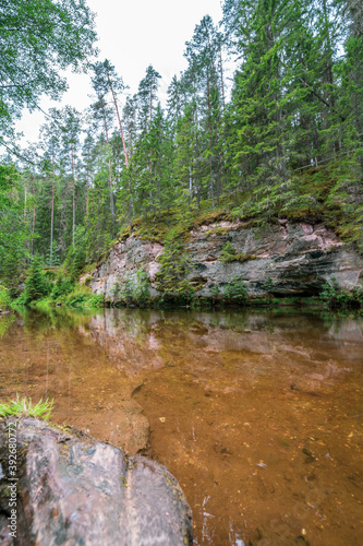 Outcrops of Devonian sandstone on the banks of Ahja river  Estonia. 