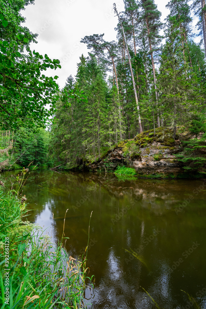 Outcrops of Devonian sandstone on the banks of Ahja river, Estonia. 