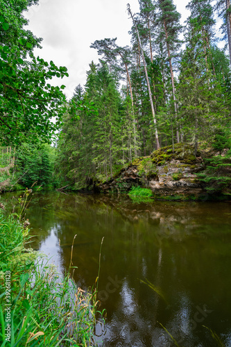 Outcrops of Devonian sandstone on the banks of Ahja river  Estonia. 