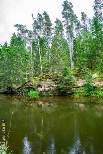 Outcrops of Devonian sandstone on the banks of Ahja river  Estonia. 