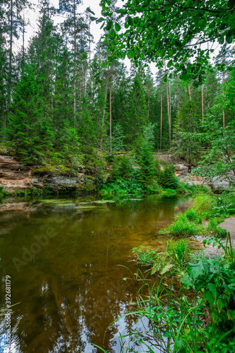 Fototapeta Naklejka Na Ścianę i Meble -  Outcrops of Devonian sandstone on the banks of Ahja river, Estonia.