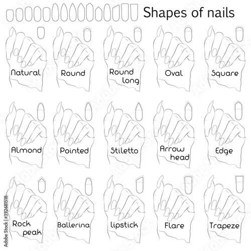 Shapes of nails. Black and white illustration for professional manicure with names of shapes. The difference and similarity of forms on the example of a hand.