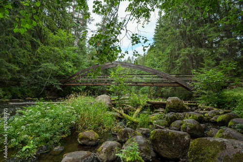 Old wooden bridge over the river among the forest. Summer nature landscape.