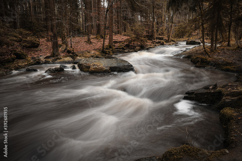 Wild river autunm in the forest