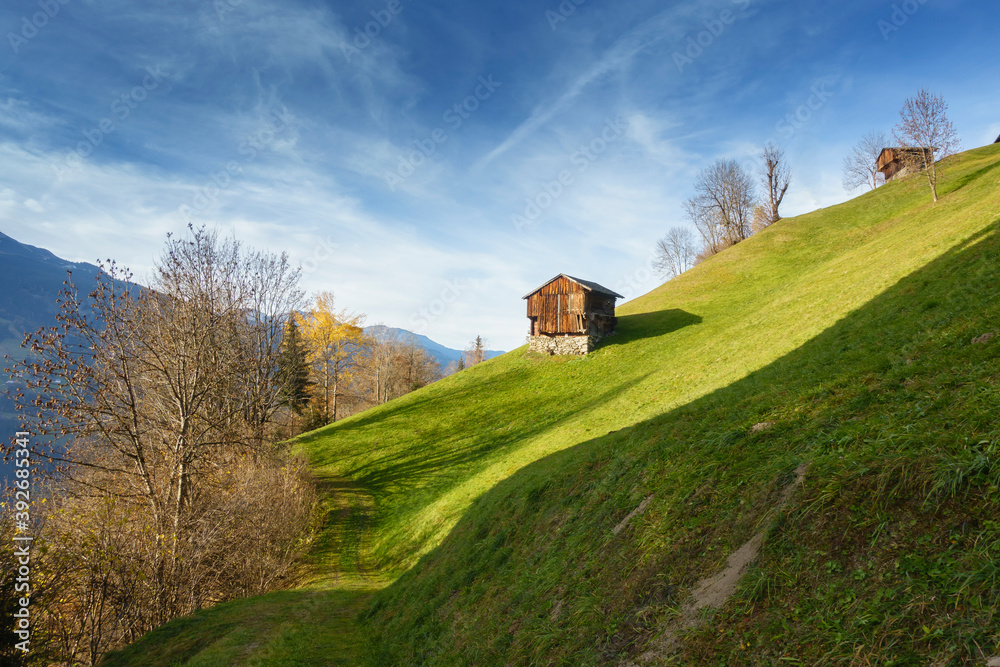 Wanderweg durch eine herbstliche Almwiese in Österreich Wanderweg durch eine herbstliche Almwiese in Österreich
