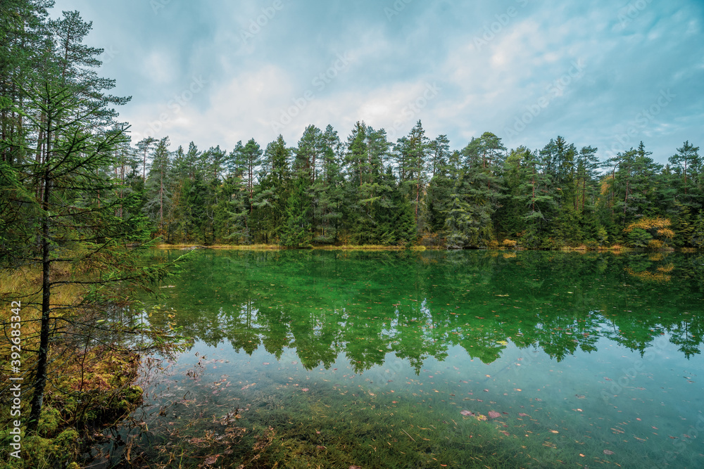 Obraz premium Beautiful blue lake in woods. autumn landscape. 