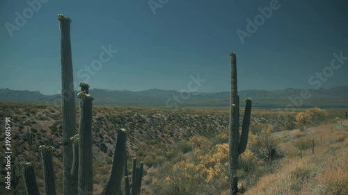 Aerial drone view of forests and cliffs at Theodor Roosevelt lake overlook in Tonto National Forest in Arizona, United States