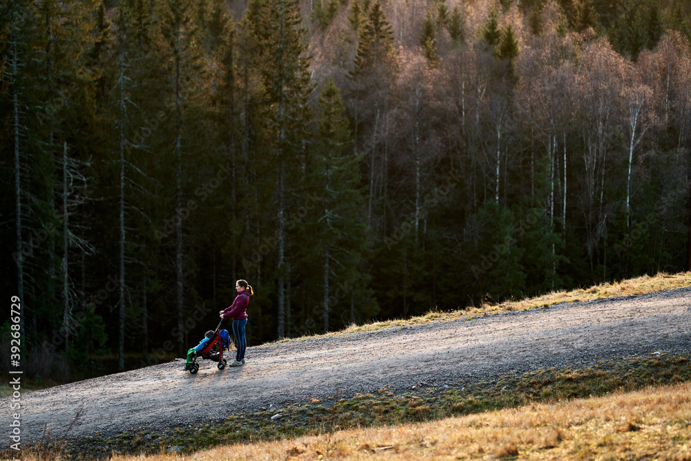 Family walk in the forest.  