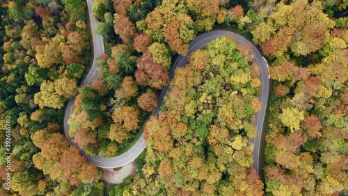 Colorful curvy road as an aerial top shot. Cars are driving along the serpentine street, which is framed by green, orange and yellow trees. photo